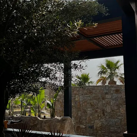 Hotel Black
